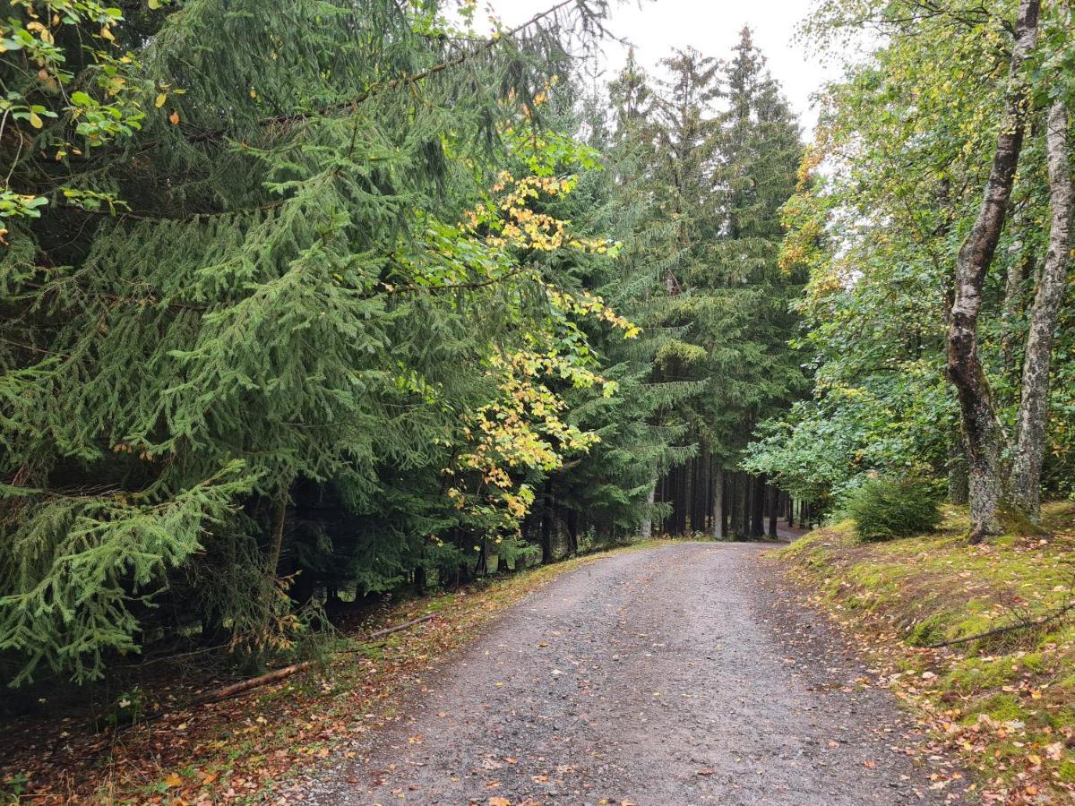 Appartement Biggesee-sauerland Naehe Olpe *
