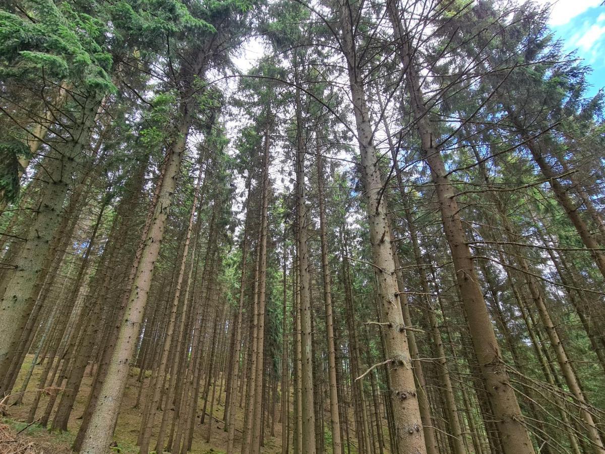 Appartement Biggesee-sauerland Naehe Olpe
