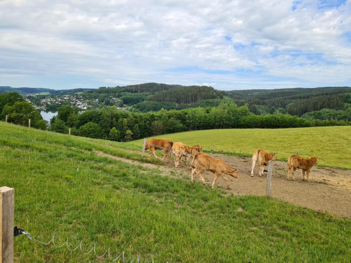Biggesee-sauerland Naehe Olpe Appartement Drolshagen